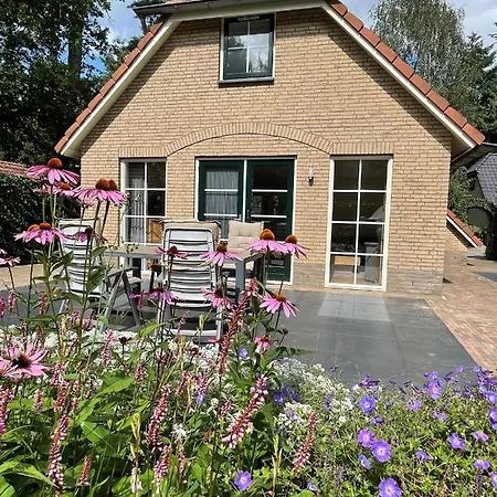 Luxe Vakantie Woning In Het Lunterse Bos Holiday home *