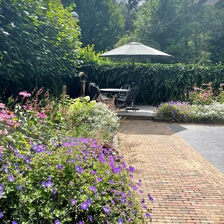 Holiday home Luxe Vakantie Woning In Het Lunterse Bos Lunteren