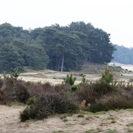 Holiday home Luxe Vakantie Woning In Het Lunterse Bos *
